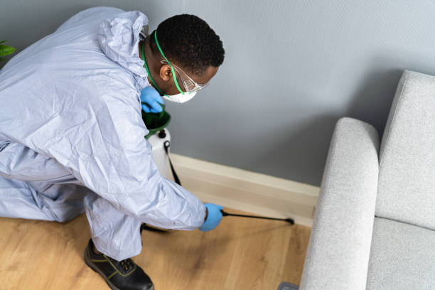 Professional Pest control in Coal City, IL